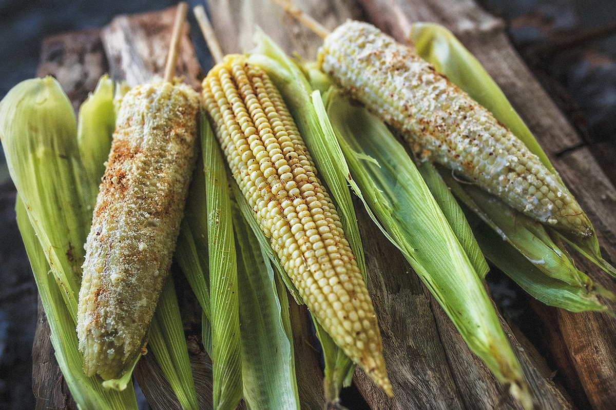 Elotes - Jala