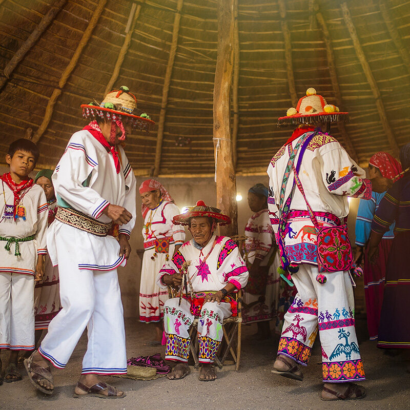 Ritual Wixárika - Sierra del Nayar