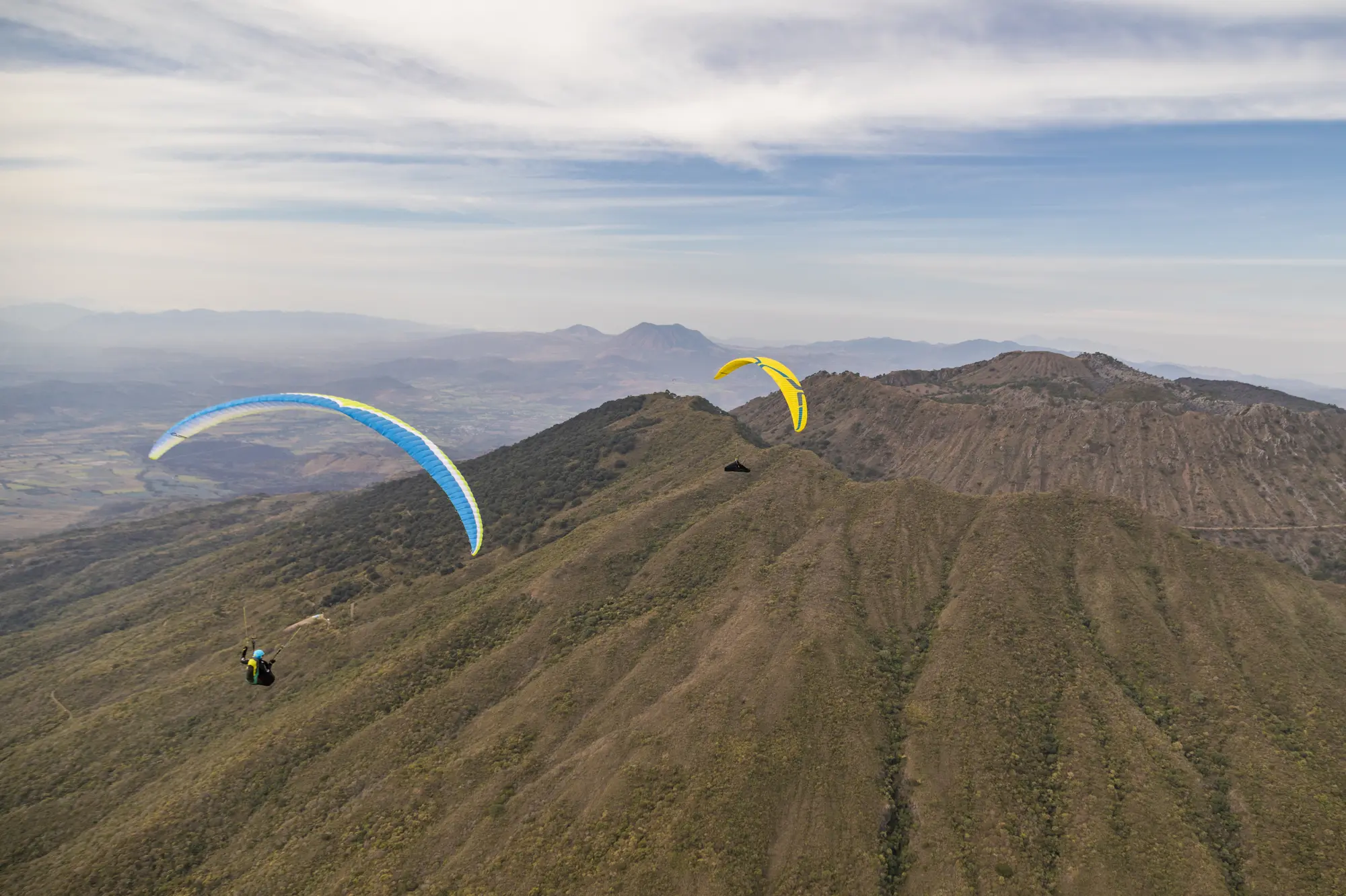 vuela nayarit 2024