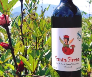 Vino santa sirena - meseta de cielo