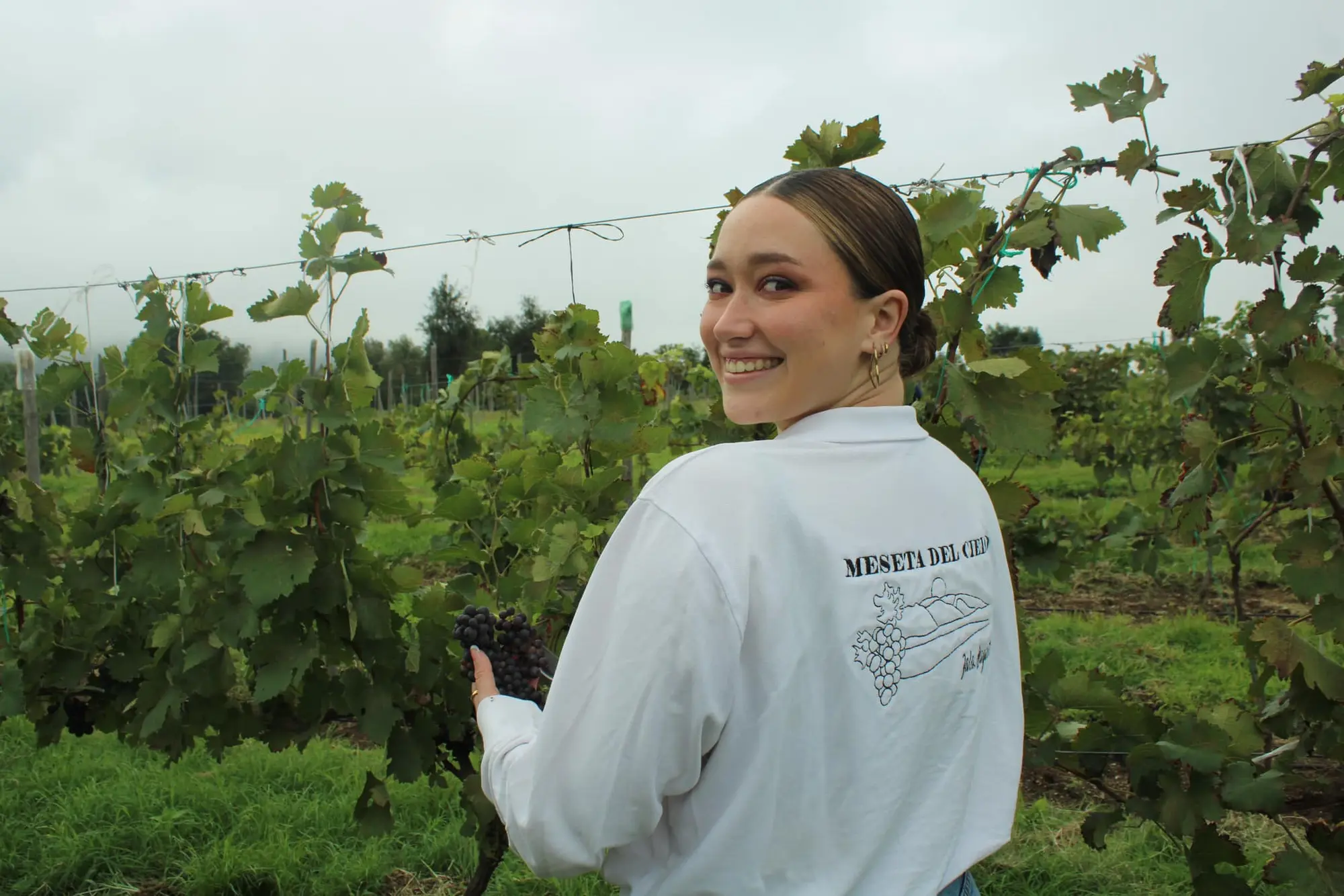 mujer en viñedo meseta de cielo