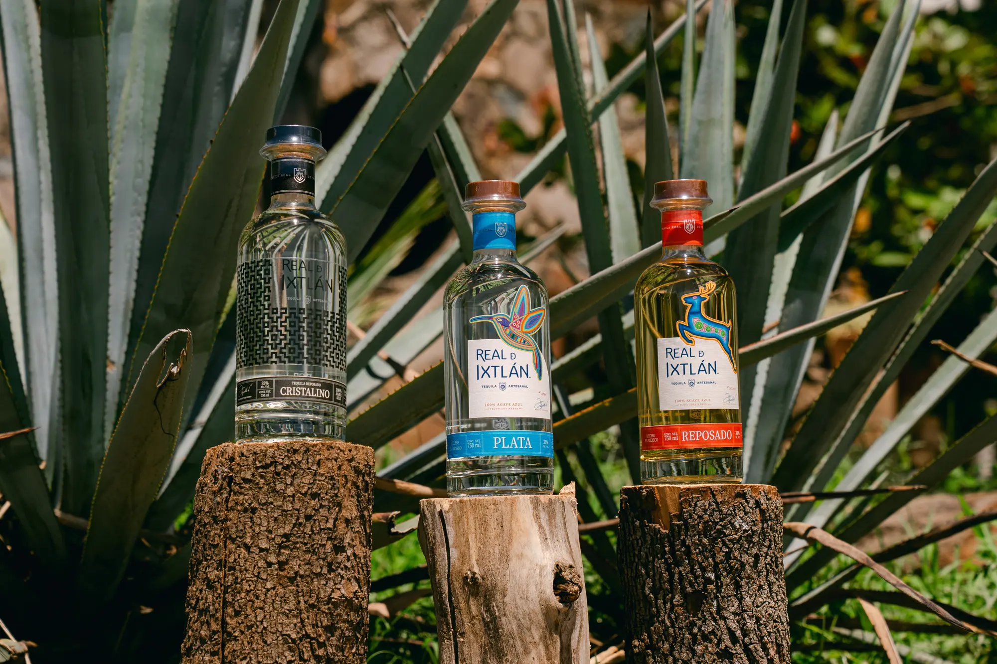 botellas de tequila real ixtlán - ruta del tequila