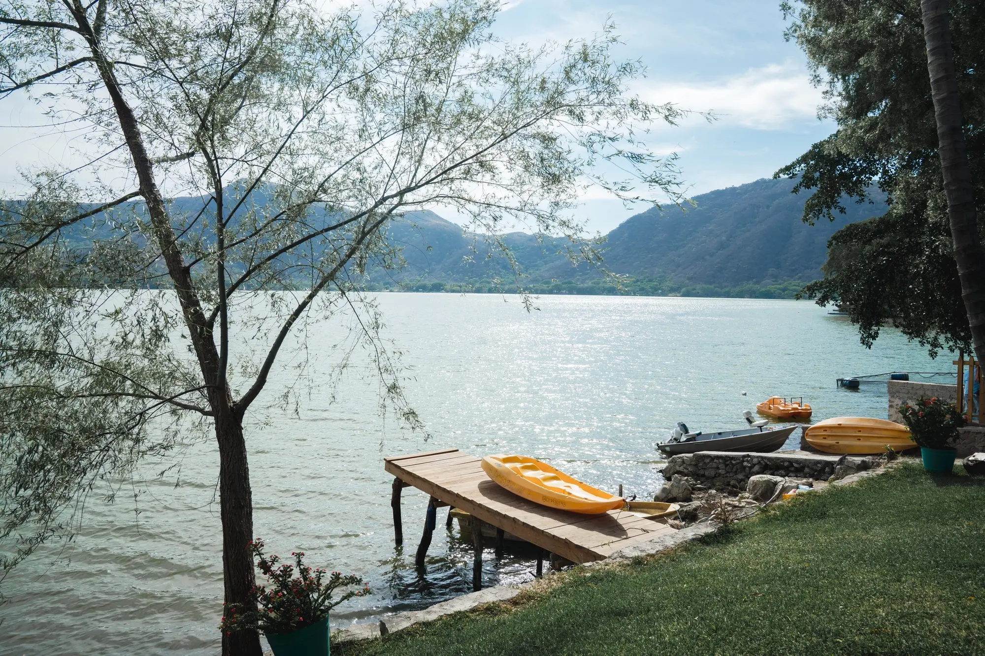 Image Alt