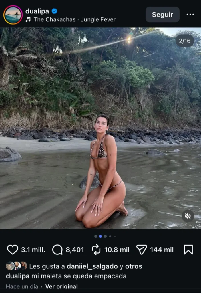 dua lipa en riviera nayarit