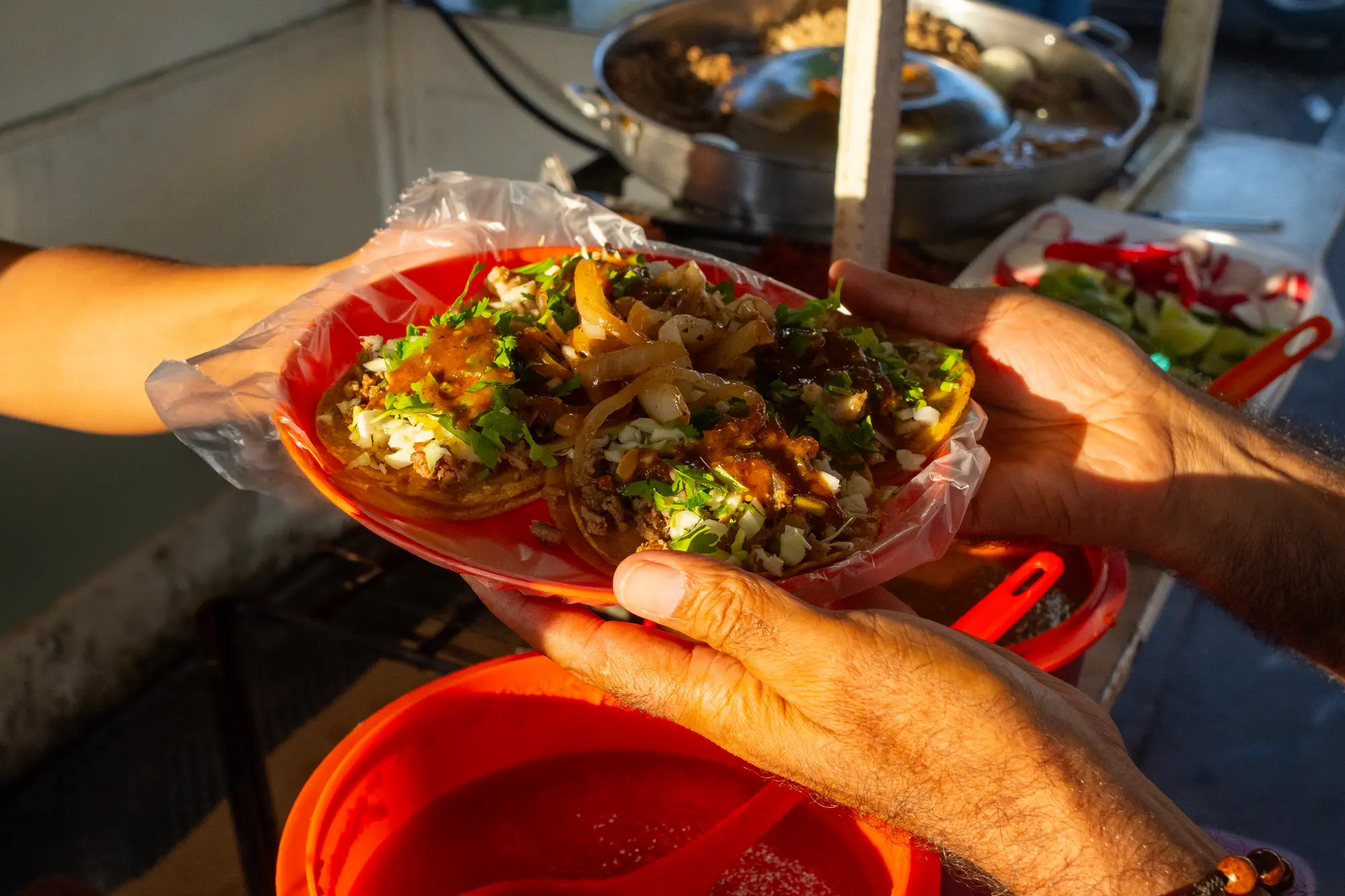 31 de Marzo - Día del Taco