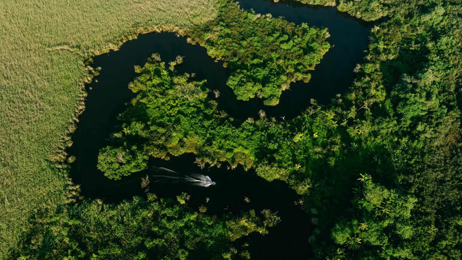 La Tovara in Nayarit, a True World of Wildlife